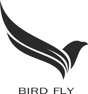Birdfly Przemysław Niedźwiecki logo 
